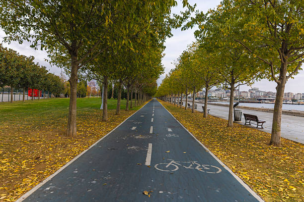 Peaceful park pathway lined with autumn trees and empty wooden benches after rain. Wet pavement reflecting soft daylight, green and yellow foliage creating a calm urban nature atmosphere. Perspective composition suitable for themes of relaxation, solitude and seasonal change.