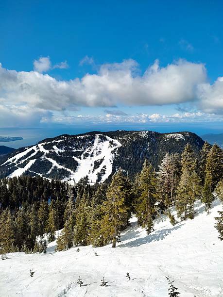 Cypress Mountain in North Vancouver, BC, Canada is depicted with its ski runs covered in snow, cutting through dense, evergreen forests. The terrain is marked by clear, winding pathways, ideal for skiing. In the foreground, snow-laden trees dot the landscape, contrasting with the vibrant green below. A clear blue sky with scattered clouds serves as a backdrop, offering a view towards the distant water and landforms, showcasing the scenic beauty and recreational appeal of the area.