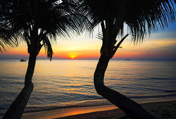 Sunset view over ocean with palm trees. View from beach in evening. Palm trees on sandy beach in sunset over ocean. Small fishing boats on horizon in sea. Fishing boat moves on waves in sea at sunset.