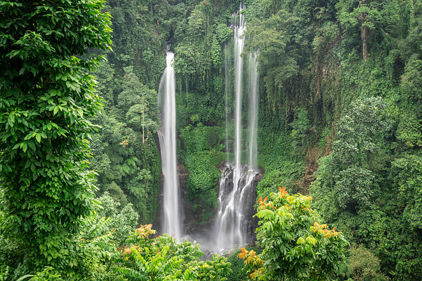 A wide view of Sekumpul Waterfall cascading through dense tropical rainforest in Bali, Indonesia. Multiple streams plunge down a steep green cliff surrounded by rich vegetation, capturing the raw beauty, serenity, and untouched nature of one of Bali’s most iconic waterfalls.