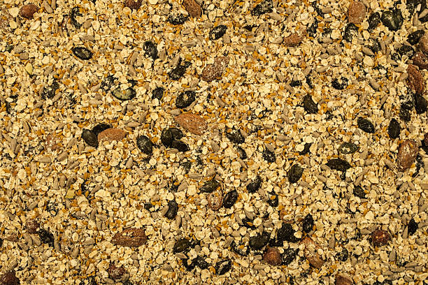 Background of mixed nuts and seeds following a Zoe recipe, ending as a loaf of bread, just needs olive oil and ambit of heat.