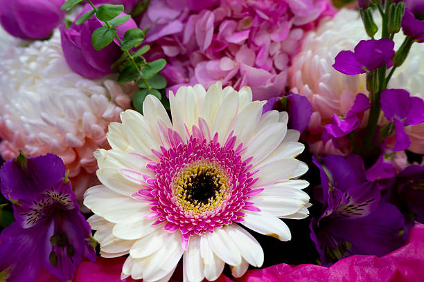 Gerbera flower closeup. Floral background.