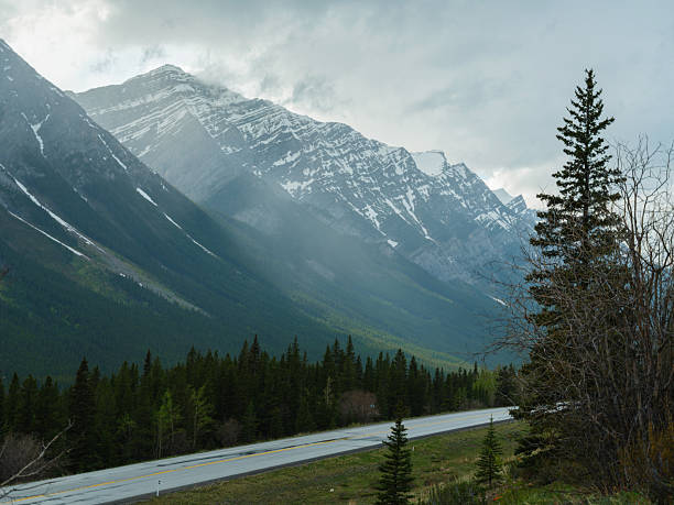 Scenic empty road through Canadian Rockies in summer
