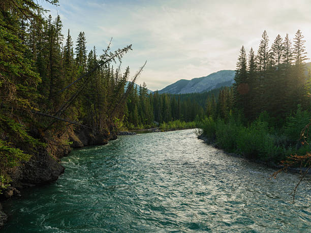 Scenic view of pristine river through Canadian Rockies  in summer