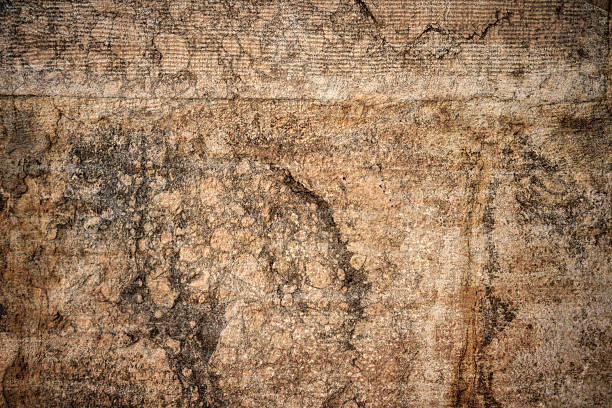 Close-up of a weathered stone wall reveals rich textures and organic patterns formed over time. Shades of brown and gray showcase the natural beauty of age and elements at play.