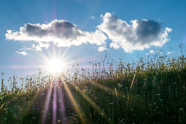 Bright summer landscape with sunlight shining over a green meadow filled with wildflowers, blue sky and soft clouds, creating a peaceful and natural outdoor scene.