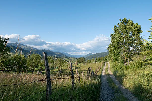 Scenic rural mountain landscape with a dirt road, wooden fence and haystack, surrounded by green meadows and rolling hills under a blue sky, representing traditional countryside life and nature.