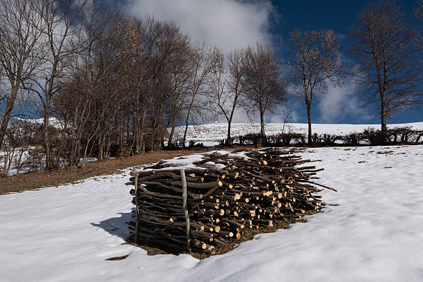 Rural winter landscape featuring a stacked firewood pile on snow covered ground with bare trees and open alpine fields in northern Italy