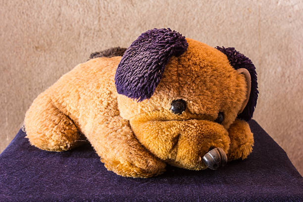 Still life Cute dog brown doll