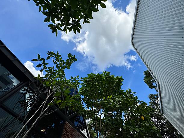 An aerial view from below, showing trees and the sky between two modern buildings on a sunny day.