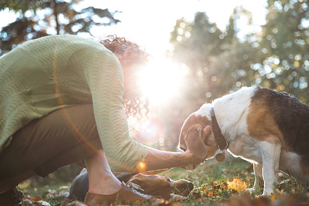 Adult woman crouching on the ground while gently petting her dog outdoors, with sunlight filtering through trees behind them. The scene conveys affection, trust, and a quiet moment of connection in a rural autumn setting.