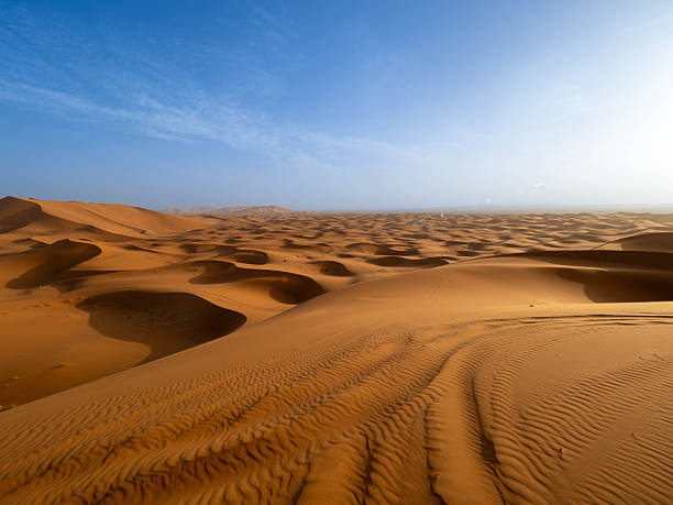 Expansive sahara desert scene featuring golden sand dunes under a clear blue sky