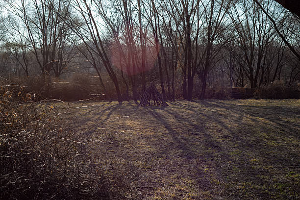 a dry patch of grass on a park walk.