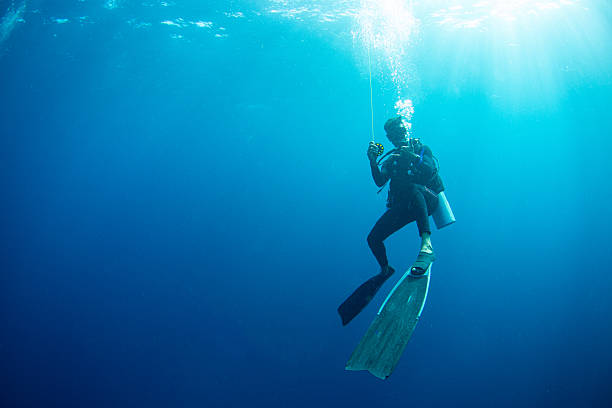 A diver swims in deep blue water while holding onto a line for safety. Sunlight filters through the surface, creating a bright scene underwater.