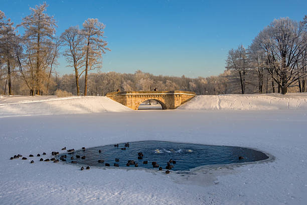 Park canal covered in frozen snow with bare trees on a cold winter day