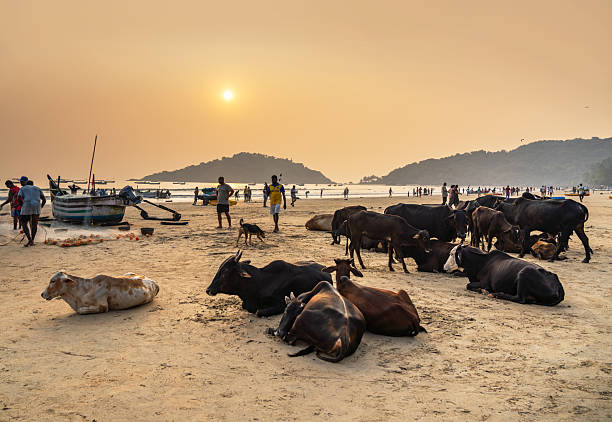Goa state