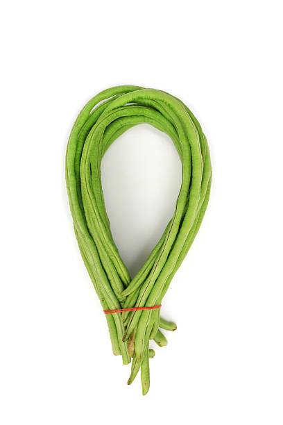 A fresh bunch of green yardlong beans tied with a red rubber band, isolated on a clean white background, ready for cooking or selling at a local market.