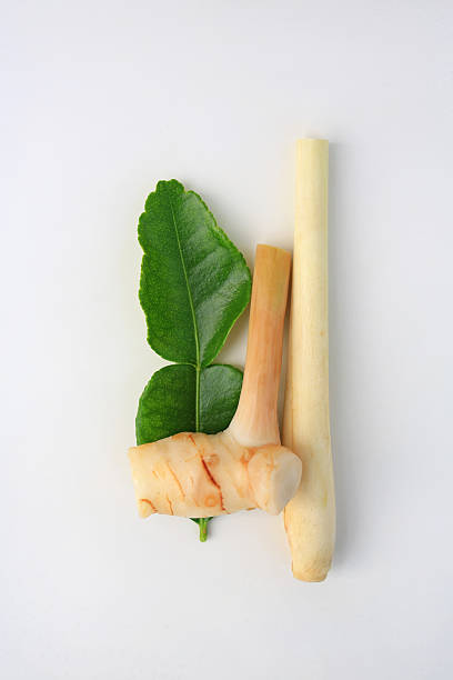 Fresh Thai aromatic herbs including galangal, lemongrass, and kaffir lime leaf isolated on a white background, prepared for authentic Tom Yum soup cooking.