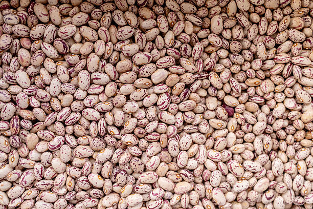 Full Frame Texture of Raw Speckled Cranberry Beans or Borlotti Beans