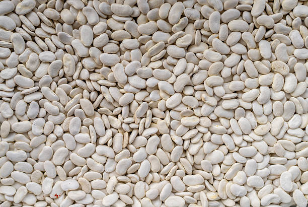 Harvested uncooked dried roman beans with raw pod plant isolated on white background, heap of legume kidney bean concept
