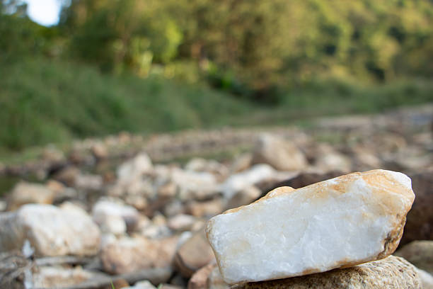 White stone in sharp focus among river rocks with soft green nature background, natural texture and geology concept.