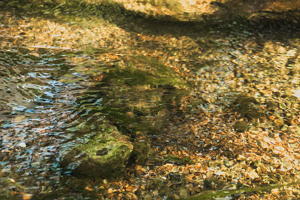 Clear stream water with sunlight reflections over stones, natural abstract texture background.