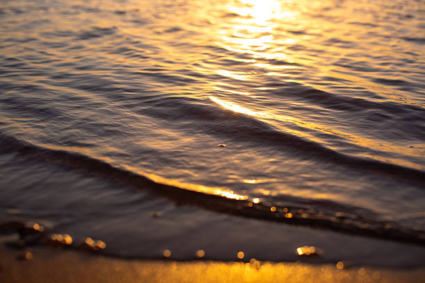 Sun reflecting on water creating a relaxing and peaceful golden texture at sunset