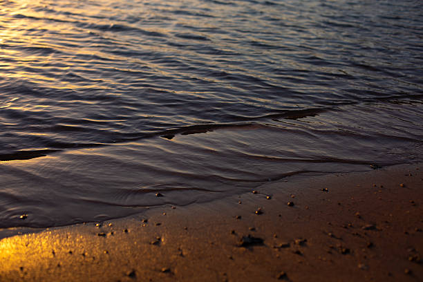 Water ripples at sunset creating a peaceful shoreline scene