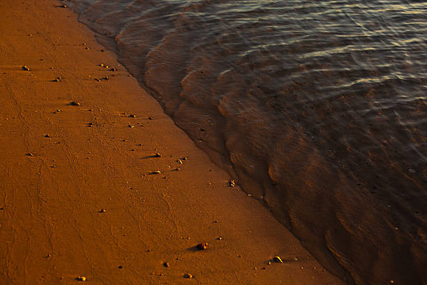 Water gently washing over shoreline and sand texture under warm sunlight