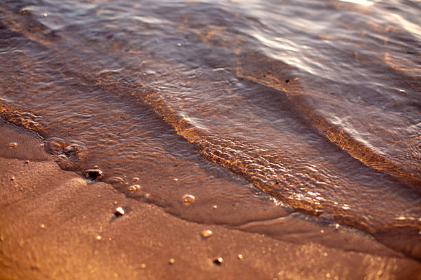 Water ripples at the shore covering dark wet sand in warm light