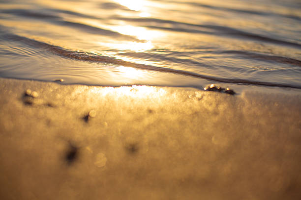 Sunset on the Sri Lanka wild beach.