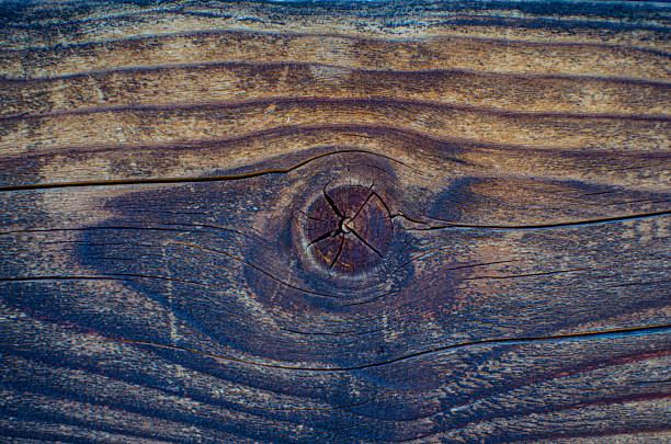 Close-up of a weathered wood plank featuring a knot. Texture, detail, and rustic appeal