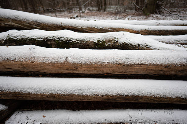 Horizontal stack of timber logs topped with a layer of white powdery snow. Pile of Logs Covered in Fresh Snow in Winter Forest.
