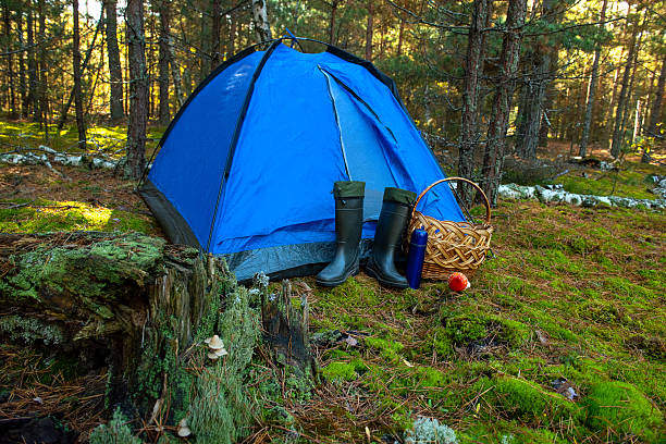 Tent, backpack and camping equipment on green grass in mountains