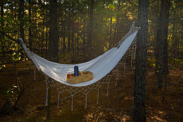 hammock hanging between trees in a quiet forest with a thermos and a small basket placed on it. peaceful autumn atmosphere, soft sunlight, slow living and outdoor relaxation concept surrounded by nature.