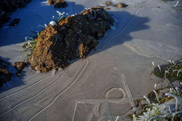 Fragile ice sheet shows delicate lines and bubbles beside frozen soil and grass.