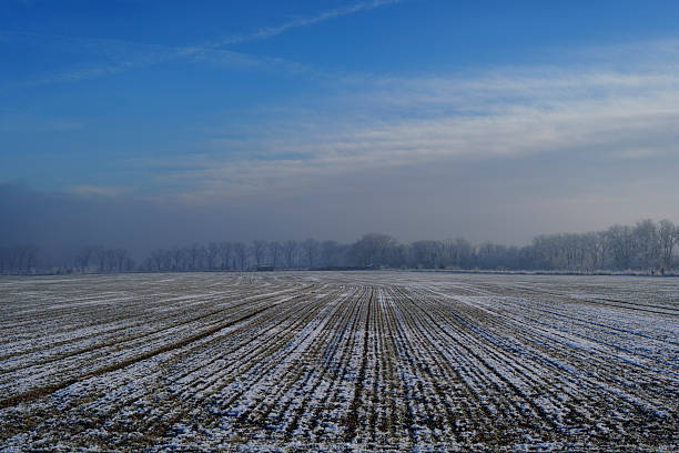 Wide winter farmland with thin snow and crop rows leading to a frosty tree line.