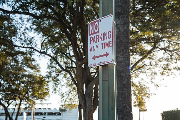 A red and white 'No Parking Any Time' sign is mounted on a green pole, with leafy trees and bright sky visible behind it