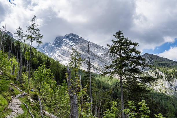 Hiking through rugged alpine and forest landscapes under an overcast sky