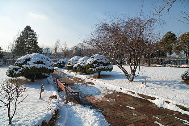Benches with snow on the city park in snowy weather.