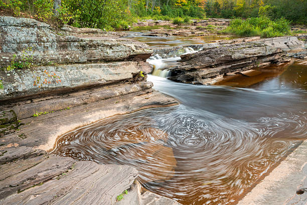 Stream in the heart of the green forest