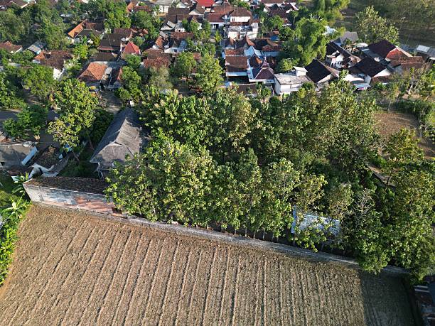 Jetak Village is one of village in Indonesia that still preserve greenery in the vicinity.