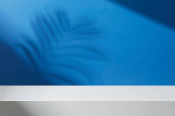 istock Deep blue abstract background with leaf shadows and a clean lower surface for product placement. Minimal concept 2259685130