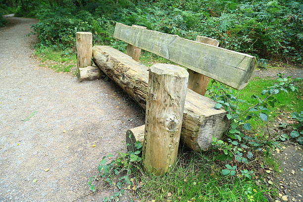 A bench made of huge tree trunks on a path in the middle of the forest Surrey England