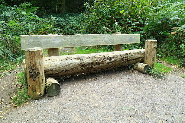 A bench made of huge tree trunks on a path in the middle of the forest Surrey England