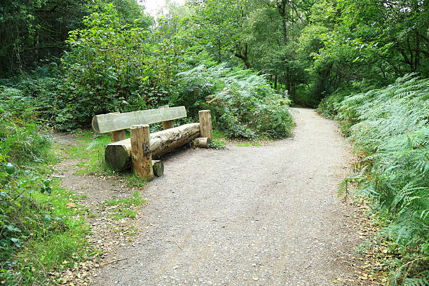 A bench made of huge tree trunks on a path in the middle of the forest Surrey England