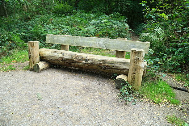 A bench made of huge tree trunks on a path in the middle of the forest Surrey England