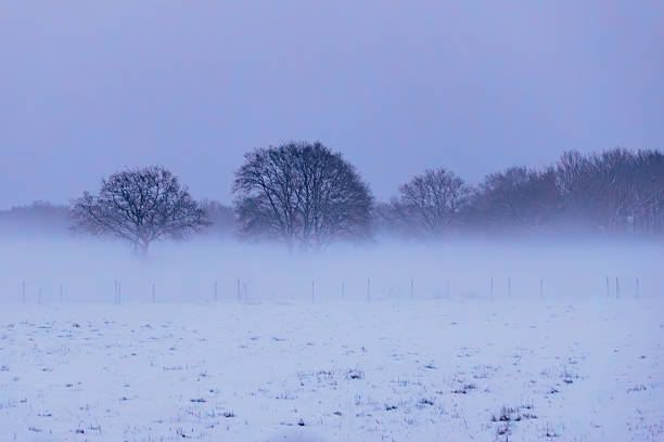 Misty Winter Landscape with Snowy Mountains and Valley View