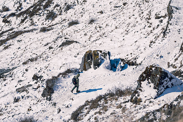 An aerial from behind a man walking on a snowy mountain during the Mardi Himal Trek, Nepal. There are footprints along the path, with bushes on both sides. Idea for adventure background in soft tones.