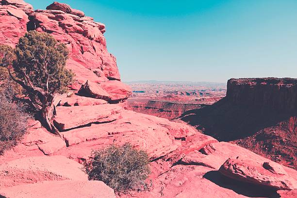 United States nature - Canyonlands National Park in Utah. Island in the sky district.